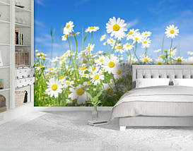 Фотошпалери текстуровані, вінілові Квіти, 250х380 см, fo01inV_fl11042, фото 5