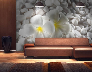 Фотошпалери текстуровані, вінілові Квіти, 250х380 см, fo01inV_fl102498