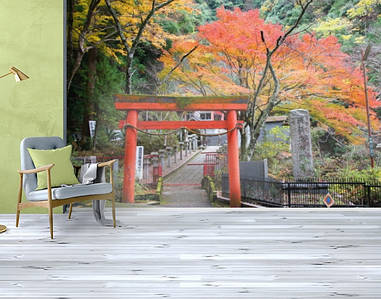 Фотошпалери текстуровані, вінілові Азія, 250х380 см, fo01inV_as00007