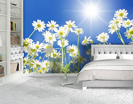Фотошпалери текстуровані, вінілові Квіти, 250х380 см, fo01inV_fl102563, фото 5