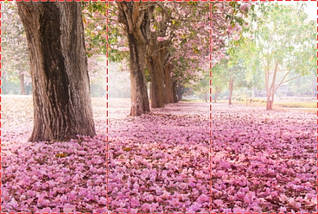Фотошпалери текстуровані, вінілові Природа, 250х380 см, fo01inV_pr11198, фото 3