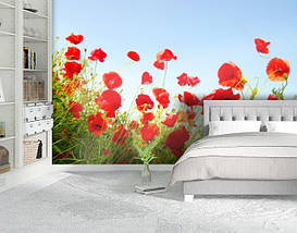 Фотошпалери текстуровані, вінілові Квіти, 250х380 см, fo01inV_fl102603, фото 5
