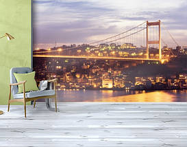 Фотошпалери текстуровані, вінілові Мости, 250х380 см, fo01inV_br00176, фото 6