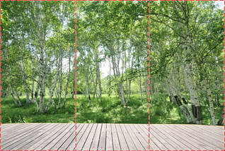 Фотошпалери текстуровані, вінілові Ліс, 250х380 см, fo01inV_fs00016, фото 3