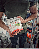 БЦАА Nosorog BCAA 2-1-1 400g, фото 4