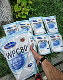 Протеїн Ostrowia WPC 80 1000 грам, фото 4
