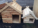 Будка дикий брус для собаки, фото 3