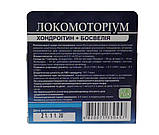 Локомоториум Хондроітин Босвеллия для відновлення тканин суглоба 50 капсул Кортес, фото 2