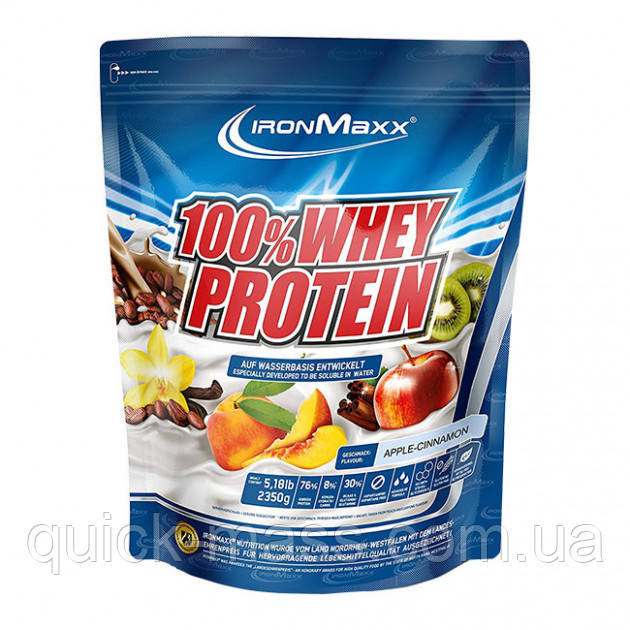 Протеїн IronMaxx 100% Whey Protein 500g, фото 1