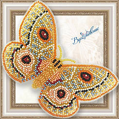 Набор для вышивки бисером "Бабочка Бунеопсис Повелитель"