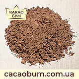 Какао порошок Cargill DB82, 10-12%, алкалізований, Cocoa Sarl Ivory Coast, 1 кг, фото 2