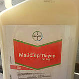 Гербіцид BAYER Майстер Пауер для Кукурудзи 5л, фото 3