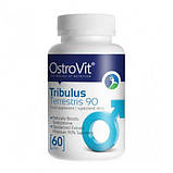 Трібулус Ostrovit Tribulus Terresteris 60 caps, фото 3