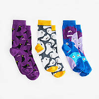 Носки детские Dodo Socks набор Babaiko 2-3 года, фото 1