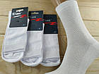 Шкарпетки чоловічі з сіткою літні Класік р. Черкаси 29 розмір високі бавовна білі НМЛ-06556, фото 2