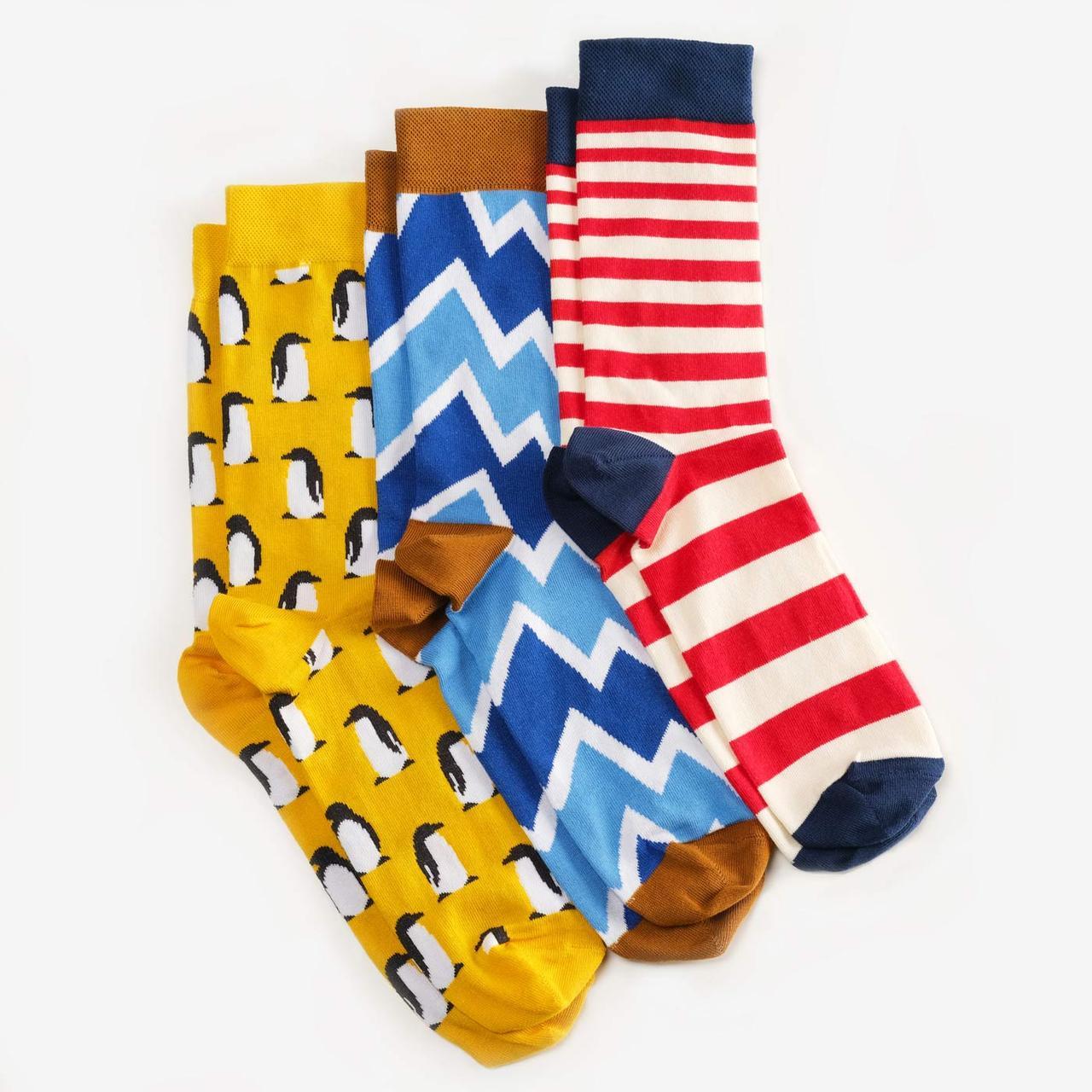 Шкарпетки Dodo Socks набір Vernadsky 42-43, 3 шт
