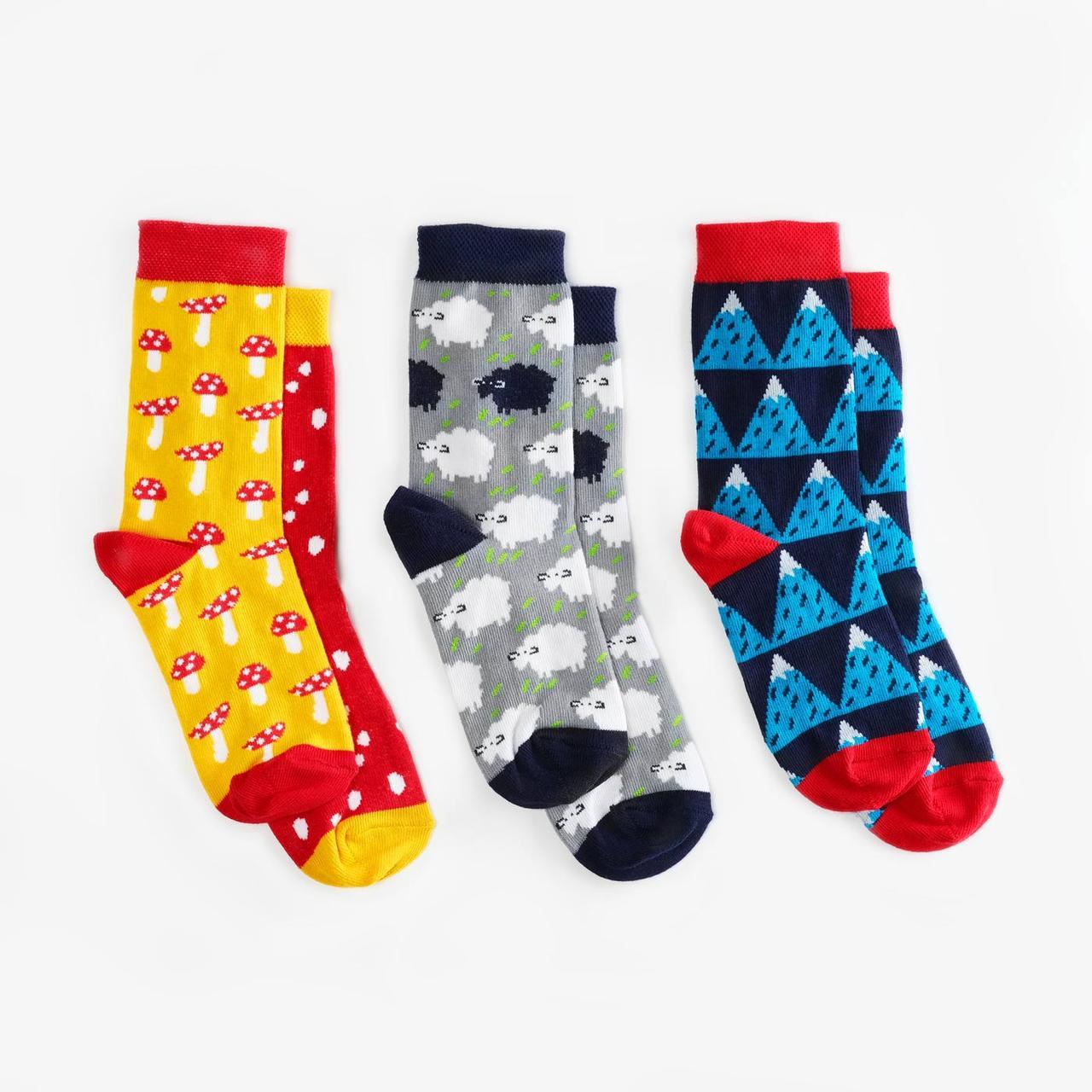 Шкарпетки дитячі Dodo Socks набір Yukon 2-3 роки, фото 1