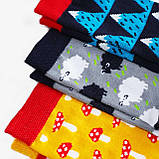 Шкарпетки дитячі Dodo Socks набір Yukon 2-3 роки, фото 2
