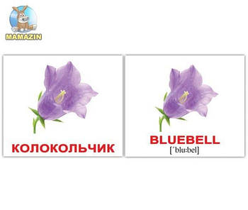 МІНІ картки "Квіти/Flowers" рус.-англ. 476328