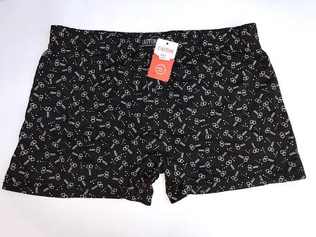 Чоловічі шорти (сімейні труси підлогу батал 3,4) Марка «CASTOM» арт.28010, фото 1