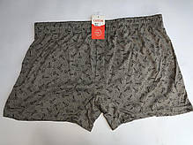 Чоловічі шорти (сімейні труси підлогу батал 3,4) Марка «CASTOM» арт.28010, фото 4