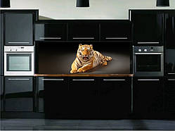 Кухонний фартух, скинали (наклейка, пвх-пластик, композит).