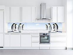 Кухонний фартух, скинали (наклейка, пвх-пластик, композит).