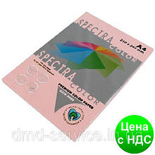 Папір A4 'Spectra' ПАСТЕЛЬ 140 (Rose) 100 л./80 гр.