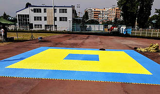 Спортивний МАТ-ТАТАМI "Ластiвчин хвіст" 20 мм.