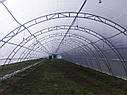 Теплиця фермерська "Фермер" 8х50 під два шари плівки, фото 2