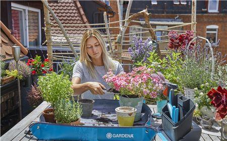 Килимок для догляду за рослинами Planting Mat S купити в Україні, р. Харків, пр-кт Героїв Сталінграду, 75, тел. +38 (099) 451 06 92