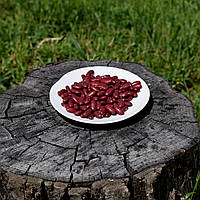 Квасоля червона