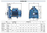 Відцентровий насос Pedrollo CPm-170, фото 6