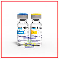 Вакцина для Собак Биокан Новел (Biocan Novel) DHPPi+L4 - 1 доза