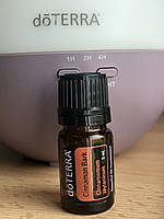 Эфирное масло Корица Cinnamon Bark doTERRA (Cinnamomum zeylanicum), 5 мл