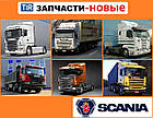 Запчастини до вантажівок SCANIA Сканія вантажні всіх моделей, фото 3