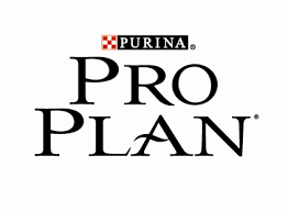 Pro Plan