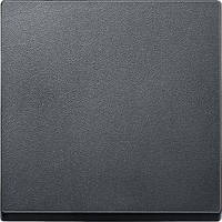 Клавіша вимикача 1-кл System M (антрацит) Schneider Electric