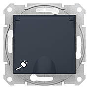 Розетка з заземленням, з кришкою IP44 графіт Sedna Schneider Electric SDN3100370