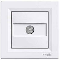 Розетка TV кінцева біла Schneider Electric Asfora