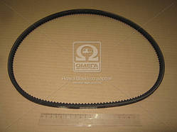 Зубчастий ремінь AVX13x1045  3307, 53