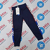 Трикотажні спортивні штани для хлопчиків гуртом F&D