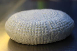 Адигейський сир (10 літрів — фермент)
