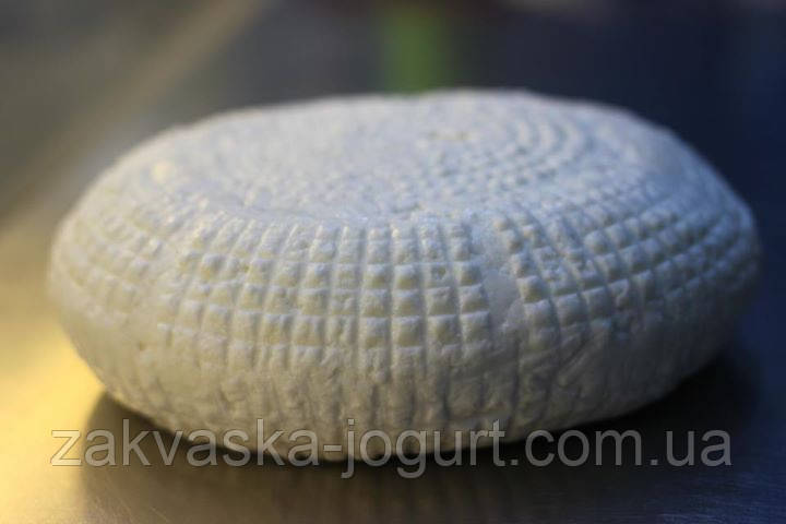 Адыгейский сыр (5 литров-фермент) - фото 1 - id-p99297894