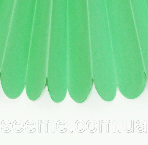 Паперові помпони з тишель «Apple Green», діаметр 25 см.