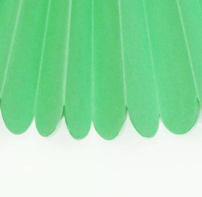 Паперові помпони з тишель «Apple Green», діаметр 25 см.
