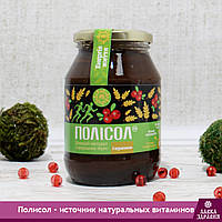 Полисол