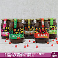 Полисол