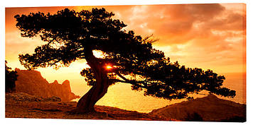 Картина на полотні Дерево на заході сонця 50х100 см 