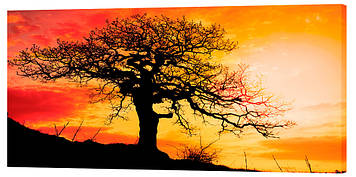 Картина на полотні Одиноке дерево 50х100 см